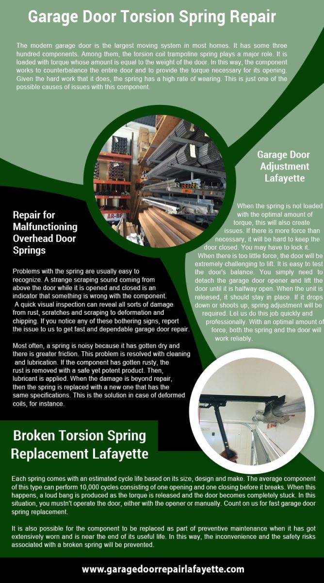Garage Door Repair Lafayette Infographic